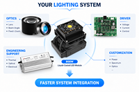 Module LED COB refroidi par liquide personnalisable 800W 17,13 mm LES pour projecteur de scène et éclairage professionnel