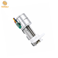 TENGLI 20BY32 20mm Minyatür Lineer Step Motor PM 12V 18 Derece 2 Fazlı Kurşun Vidalı Kamera Lazer Robot CNC için Slayt