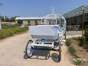 Carruaje Eléctrico de Hierro Blanco Estilo Real, el Más Vendido, Carruaje Eléctrico Blanco para Bodas y Turismo - Product Image 6