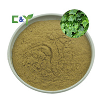 Poudre d'extrait de tige de lierre chinois Hedera Nepalensis K 10:1, poudre d'extrait de feuille de lierre
