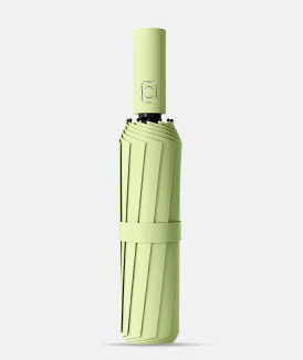 vert matcha