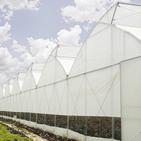 Serre commerciale avec système de culture hydroponique Serre à tunnel en poly agricole à travée multiple pour l'extérieur