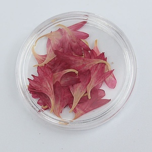 M045 <span class=keywords><strong>fiori</strong></span> in <span class=keywords><strong>fiordaliso</strong></span> naturale <span class=keywords><strong>fiori</strong></span> <span class=keywords><strong>fiori</strong></span> <span class=keywords><strong>fiori</strong></span> <span class=keywords><strong>fiori</strong></span> <span class=keywords><strong>fiori</strong></span> <span class=keywords><strong>fiori</strong></span> <span class=keywords><strong>fiori</strong></span> per Nail artigianato creazione di gioielli gioielli cornice in resina minimo 50 pz pasqua - Product Image 5