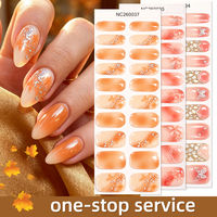 Bandes de gel semi-durcies prêtes à l'emploi pour ongles, 20 embouts, dégradé rose blush, paillettes argentées, motifs floraux, pour salon professionnel