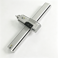 Module linéaire de haute précision avec actionneur à vis à billes, glissière CNC à double rail, adapté à la découpe laser automatisée