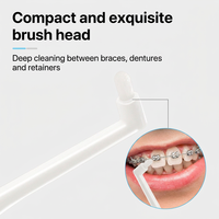 Kit de Soins Orthodontiques avec Brosse Interdentaire, Grattoir Lingual et Ensemble de Brosses à Dents pour Appareils Dentaires, Nettoyage des Dents, Portable pour Voyage, OEM Personnalisé