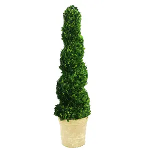 4ft high preserved boxwood spiral topiary tree with terracotta pot for indoor decoration