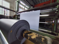 Bâche PVC personnalisable en taille et couleur, bannière flexible 220-610 g/m², idéale pour la couverture extérieure et les supports publicitaires