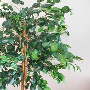SENMASINE под заказ 150 см искусственное дерево фикус для домашнего сада Украшение с изогнутым стволом зеленые комнатные растения фикус дерево