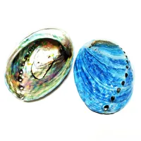 Coquilles d'ormeau naturelles ovales bleues, coquilles Paua Haliotis Iris, pour aménagement d'aquarium, décoration nautique DIY, support à bijoux, continentales