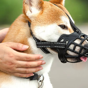 Muselière pour chien en cuir souple et résistant, réglable, anti-morsure, avec design ajouré pour la circulation des dents, pour la protection de la bouche des chiens - Product Image 1