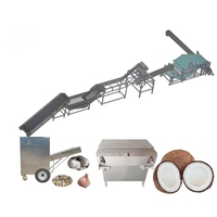 Machine de traitement de crème de lait de coco à congélation rapide