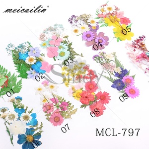 Decoración de <span class=keywords><strong>Uñas</strong></span> con <span class=keywords><strong>Flores</strong></span> <span class=keywords><strong>Secas</strong></span> Naturales en 3D, <span class=keywords><strong>Flores</strong></span> <span class=keywords><strong>Secas</strong></span> Reales de Colores Mezclados <span class=keywords><strong>para</strong></span> <span class=keywords><strong>Uñas</strong></span> Acrílicas - Product Image 4
