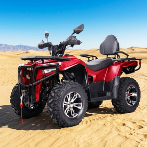 Buggy UTV de 300cc, 4 Tiempos, 4x2, Diésel, con Suspensión Independiente, para Montaña y Pistas Escénicas - Product Image 5