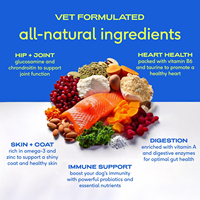 Supplément multivitaminé de qualité supérieure pour animaux de compagnie Glucosamine Chondroïtine Poudre pour chiens chiots Animaux adultes Suppléments de soins de santé pour animaux de compagnie