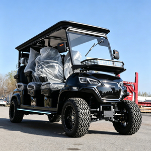 Meilleure Offre : <span class=keywords><strong>Mini</strong></span> Camionnette Utilitaire, Véhicule Agricole, Buggy Électrique, Chariot, Voiturette de <span class=keywords><strong>Golf</strong></span> Électrique (EV) - Product Image 6