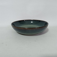 Service de table en porcelaine émaillée écologique, assiettes de présentation portables et bols à salade avec motif végétal, vaisselle verte