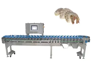 Macchina di smistamento del pesce congelato nastro trasportatore automatico di controllo di pesatura e di rifiuto della bilancia Made In Guangdong cina peso Sorter