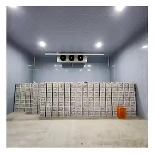 Cámara Frigorífica Logística <span class=keywords><strong>de</strong></span> Gran Capacidad con Motor y Equipo <span class=keywords><strong>de</strong></span> Congelación, Unidad Condensadora <span class=keywords><strong>de</strong></span> Refrigeración - Product Image 3
