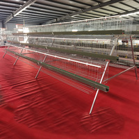 Vente en gros de cages à poules pondeuses de 10 000 unités, système d'abreuvement pour l'élevage avicole, capacité 128/160, cage à poules en batterie galvanisée