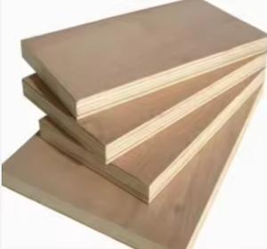 Contrachapado Comercial de Álamo, Pino y Abedul Bintangor EV de 12mm, 15mm y 18mm para Muebles - Product Image 4