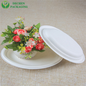Disposable Bagasse Plates – Heavy Duty Sugar Cane Plates for Wholesale