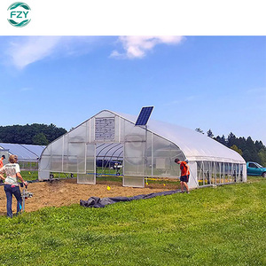 Fournitures cadre en métal chinois style tropical <span class=keywords><strong>fraise</strong></span> pommes de terre arrière-cour industrielle à faible coût tunnel vente baie serre - Product Image 3