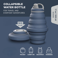 Caractéristique écologique Bouteilles d'eau pliables sans BPA Shaker Drinkware Type 550ml Bouteille d'eau pliable en silicone