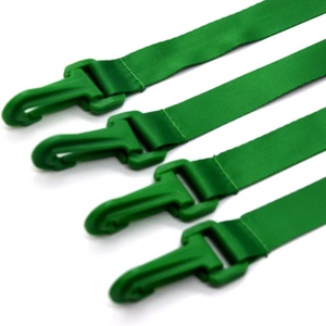Một Màu bạc hà màu xanh lá cây không in đồng bằng <span class=keywords><strong>polyester</strong></span> dây Sling dây webbings nhựa khóa dinh dưỡng trung tâm sử dụng - Product Image 3