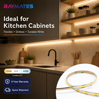 Tira de LED COB CCT de 24 V CC, 608 LED/m, Blanco Ajustable, CRI90+, Regulable, Cinta LED Blanca Dual para Iluminación Comercial de Gabinetes y Techos