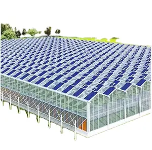 강력한 구조 좋은 가격의 아연 도금 상업용 폴리 카보네이트 농업 온실 키트