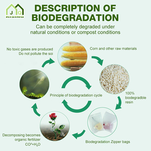 卸売価格上昇中 カスタムロゴ入り堆肥化可能再封可能ジップロック スナックサンドイッチ食品保存包装袋 - Product Image 3