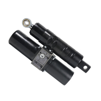 Actionneur électrohydraulique PrimoPal 8000N IP66 IP67, course de 150 mm à 250 mm, 12 V 24 V CC, actionneur linéaire étanche pour 800 kg