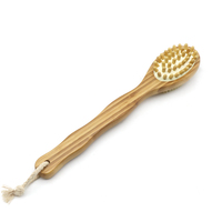Brosse de douche double face à long manche, exfoliant corporel, brosse sèche à poils de sanglier, masseur pour éliminer les odeurs
