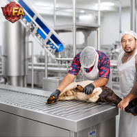 Machine professionnelle d'abattage de moutons et de chèvres, équipement d'abattoir halal, usine de transformation de la viande de mouton, ensemble d'outils de boucherie