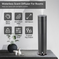 Diffuseur d'huiles essentielles sans eau en métal avec contrôle par application, lumière LED, garantie 1 an, pour usage extérieur, hôtelier et domestique, électrique