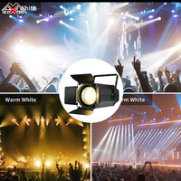 Projecteur professionnel 200W 2-en-1 Zoom COB LED Pinspot Ra90 DMX512 à montage en surface, blanc, pour DJ, discothèque, karaoké, boule à facettes, événements scéniques