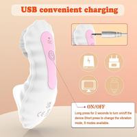 Vibrateur de style lingerie féminine contrôlé par application, rechargeable par USB, 100 % étanche, gode insérable pour stimulation clitoridienne