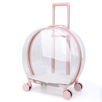 Sac pour chat de compagnie Trolley Case Transparent Cat Bag Go Out Portable Cat Portable Transparent Air Box
