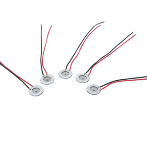 10mm PZT <strong>Microporous</strong> Atomizer Disc 160kHz Piezo Ceramic Mist Plate for Handheld Nebulizer - Product Image 1