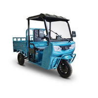 Tricycle électrique cargo à 3 roues pour adultes Chongqing Cheetah Power ATV - 2026