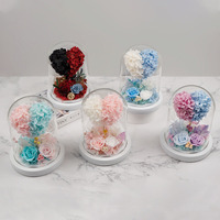 TC Mini mezcla de colores flor eterna árbol de amor en cúpula de cristal decoración para el Día de San Valentín cumpleaños Rosa preservada y regalo de plantas
