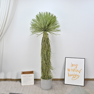 Artificial Dragon Blood <b>Tree</b> 170cm Soft PVC High Simulation Indoor <b>Outdoor</b> Decoration Plant Ornament - Product Image 3