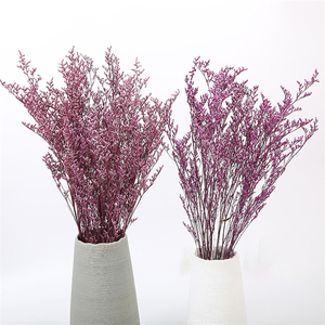 Suspension de fleurs séchées pour carte de remise de diplôme, accessoires de décor, cadeau naturel en lycra, statue préservée, herbe des amoureux, démodis <span class=keywords><strong>gyrans</strong></span> - Product Image 1