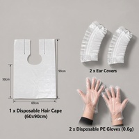 Kit d'outils de coloration capillaire en plastique durable jetable - Outils professionnels de salon pour usage domestique et professionnel