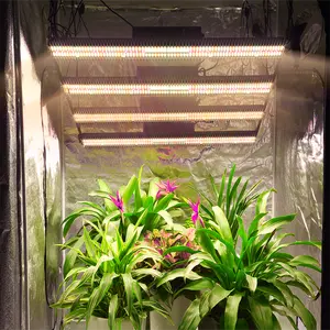 Grosir mahal bunga dalam ruangan-Lampu Penumbuh Led 800W Versi UV IR Pro, Tautan Spektrum Penuh Tanpa Batas untuk 6X6 Tenda Pertumbuhan Tanaman Medis Mahal