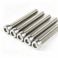 Vis à tête hexagonale anti-rouille en acier inoxydable 304 DIN912 A2-70
