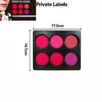 Palette de fards à joues en poudre pressée 6 couleurs, maquillage pigmenté