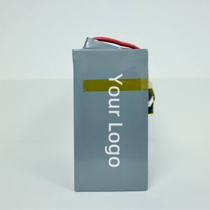 Lithiumbatterij Van Industriële Kwaliteit | Hoge Prestaties, Lange Levensduur En Hoge Duurzaamheid - Product Image 6