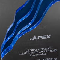 Trophée personnalisé en acrylique multicolore, design flamme, plaque en acrylique transparente, récompenses d'entreprise personnalisées